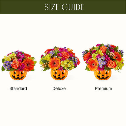 Tricks & Treats Pumpkin –  Karnation Korner Florist, Dunedin FL
