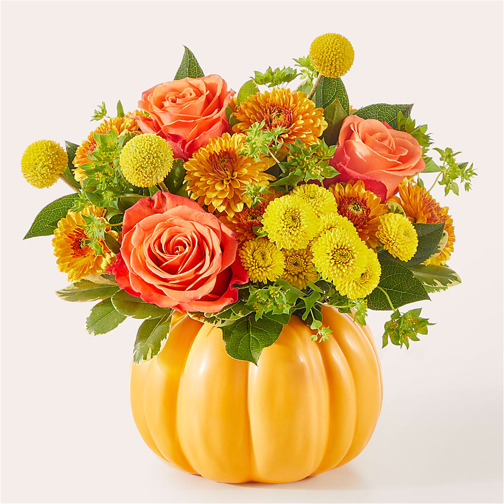 Gourdgeous Pumpkin –  Karnation Korner Florist, Dunedin FL