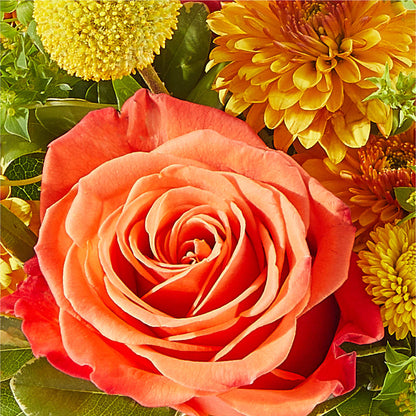 Gourdgeous Pumpkin –  Karnation Korner Florist, Dunedin FL