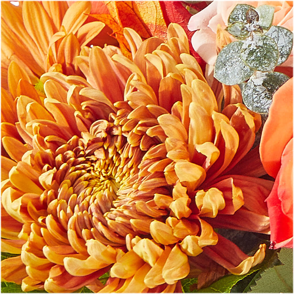 Scenic Route Bouquet –  Karnation Korner Florist, Dunedin FL