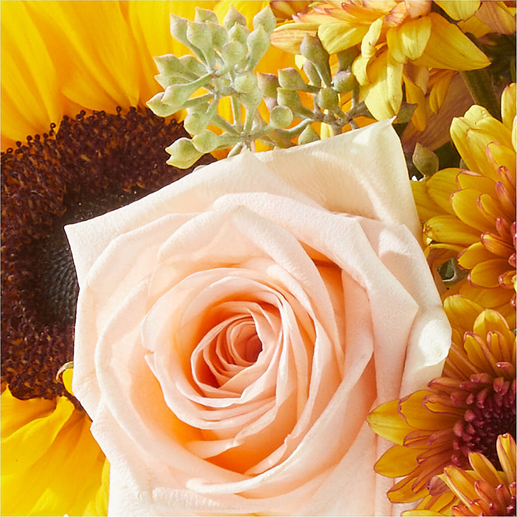 Pumpkin to Talk About Bouquet –  Karnation Korner Florist, Dunedin FL