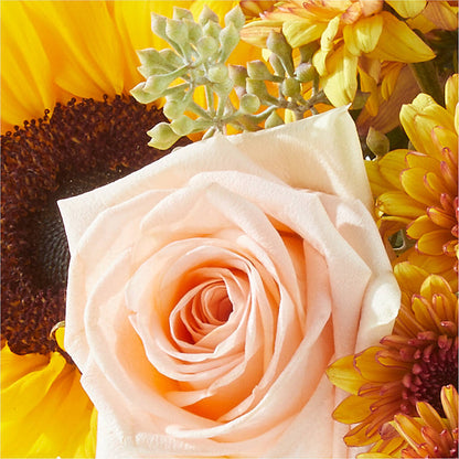Pumpkin to Talk About Bouquet –  Karnation Korner Florist, Dunedin FL