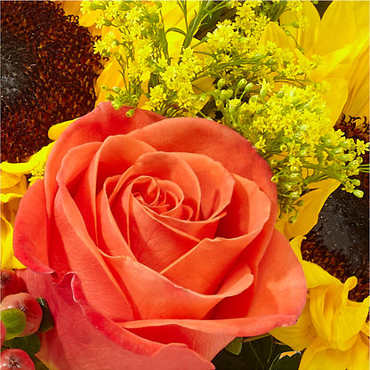 Pick of the Patch Pumpkin Bouquet –  Karnation Korner Florist, Dunedin FL