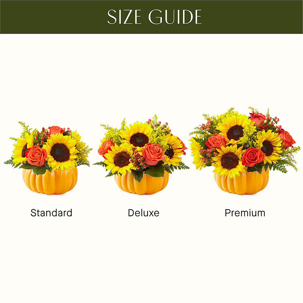 Pick of the Patch Pumpkin Bouquet –  Karnation Korner Florist, Dunedin FL