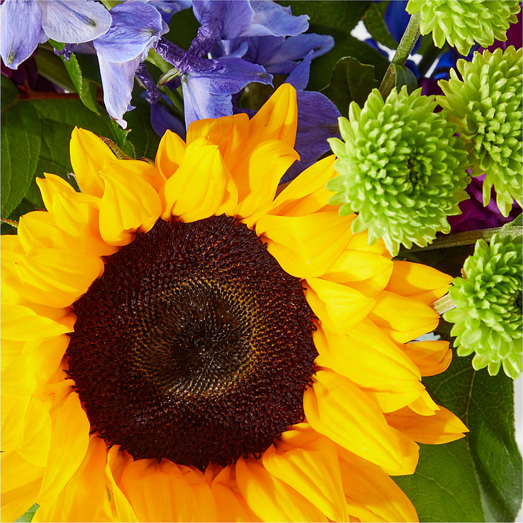 Catching Rays Bouquet –  Karnation Korner Florist, Dunedin FL
