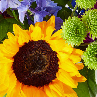 Catching Rays Bouquet –  Karnation Korner Florist, Dunedin FL