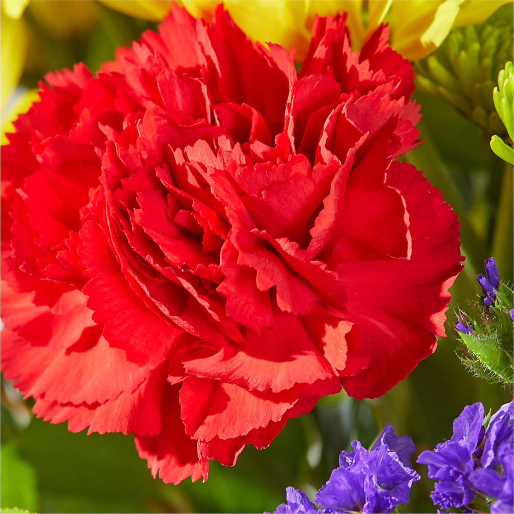 Brighter Days Bouquet –  Karnation Korner Florist, Dunedin FL