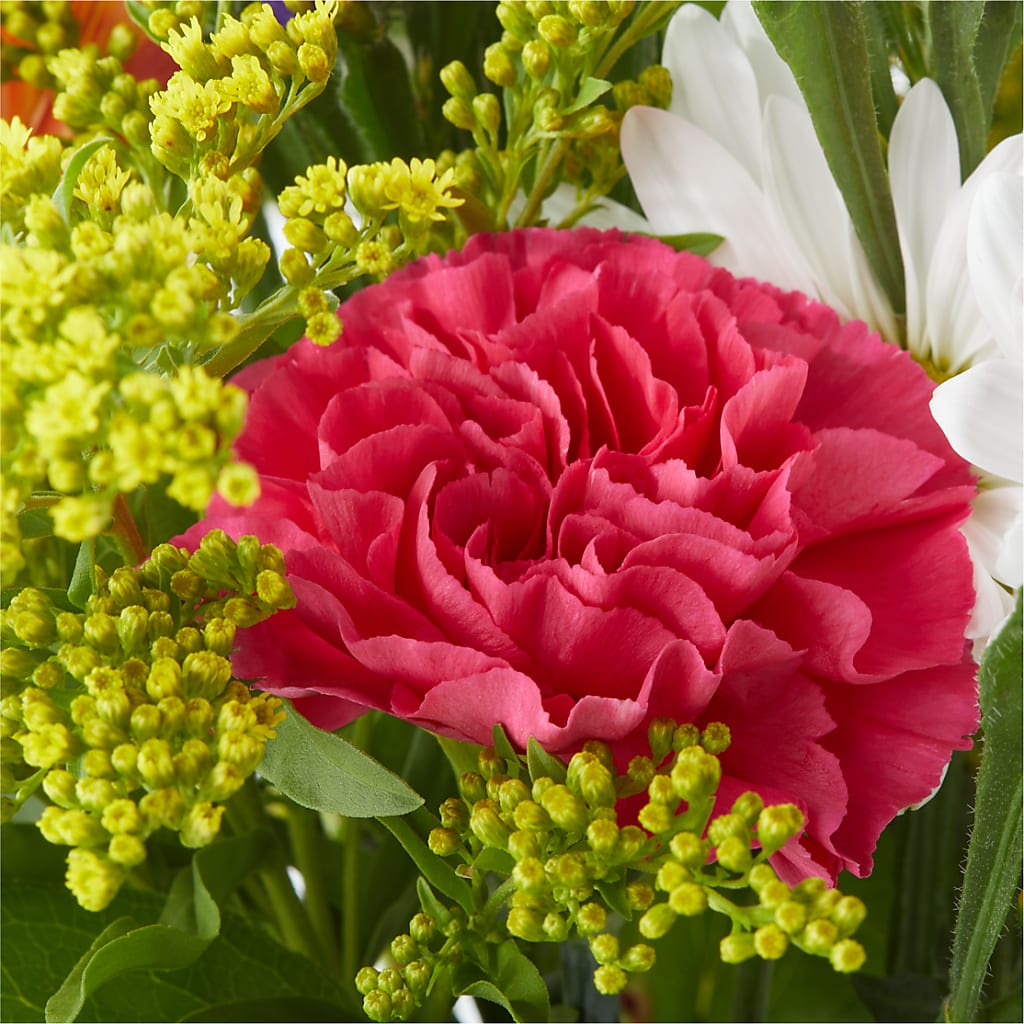 Oopsie Daisy Bouquet –  Karnation Korner Florist, Dunedin FL
