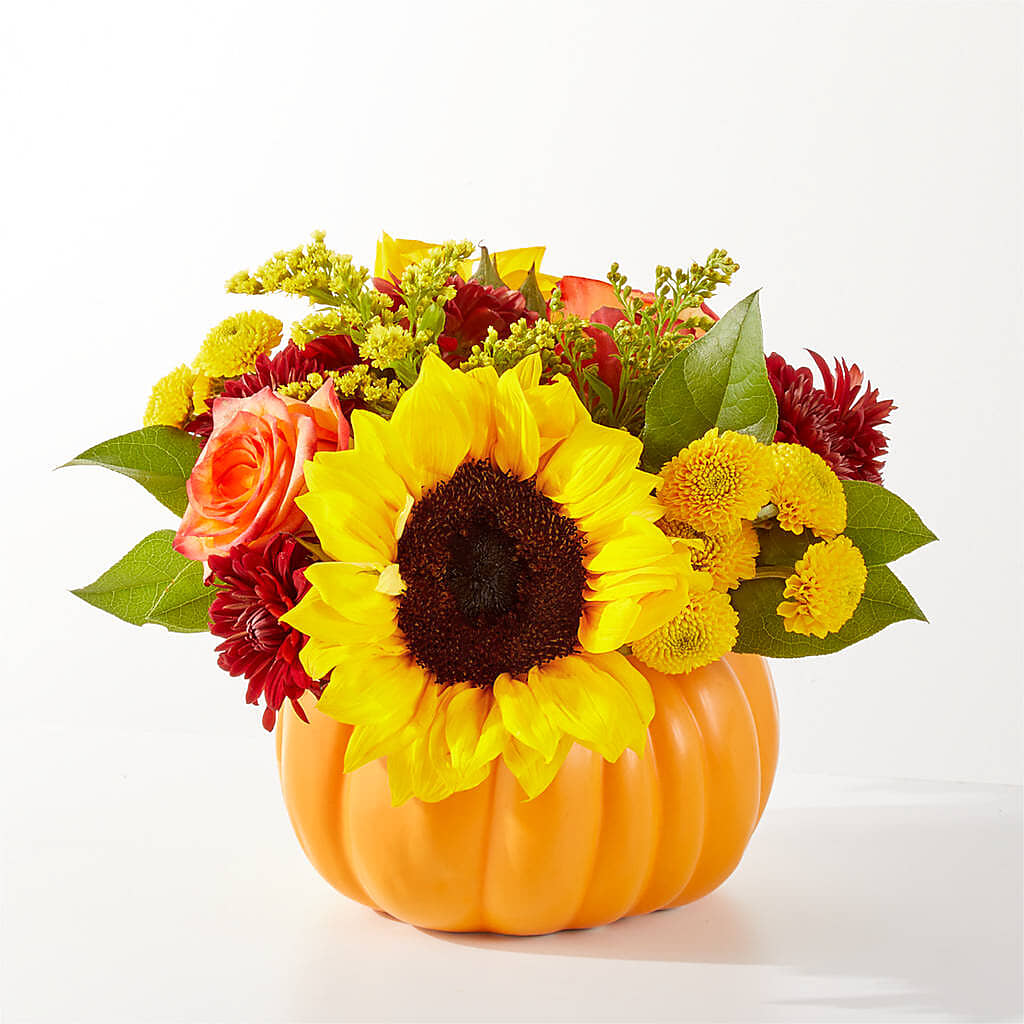 Golden Gourd Pumpkin Bouquet –  Karnation Korner Florist, Dunedin FL
