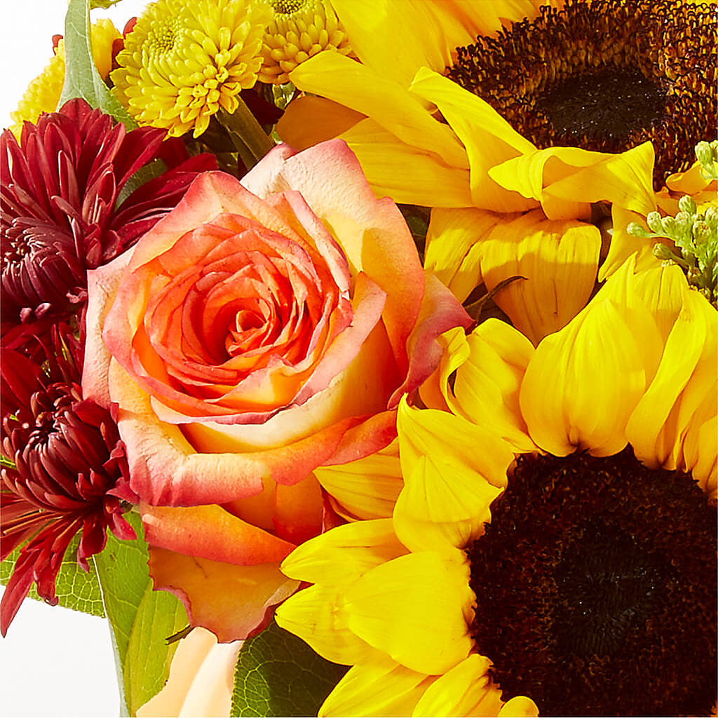 Golden Gourd Pumpkin Bouquet –  Karnation Korner Florist, Dunedin FL
