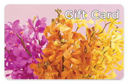 Gift Card –  Karnation Korner Florist, Dunedin FL