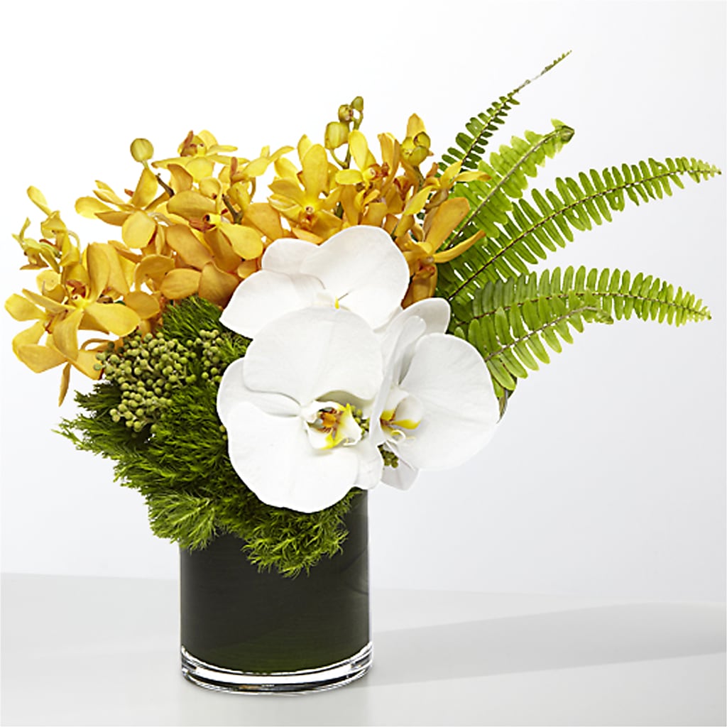 The Tropics –  Karnation Korner Florist, Dunedin FL