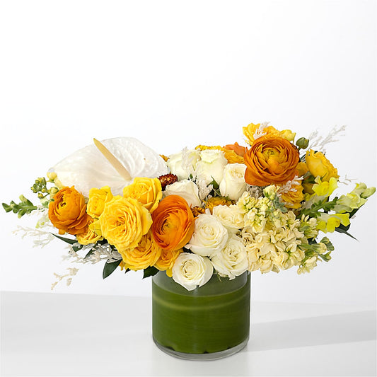 The Optimist –  Karnation Korner Florist, Dunedin FL