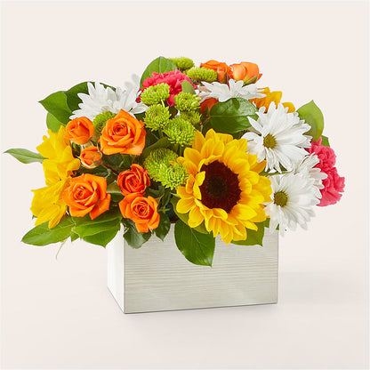 Sun-drenched Blooms Box Bouquet –  Karnation Korner Florist, Dunedin FL