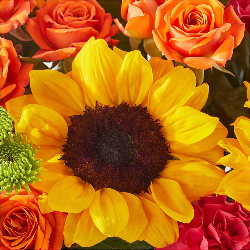 Sun-drenched Blooms Box Bouquet –  Karnation Korner Florist, Dunedin FL