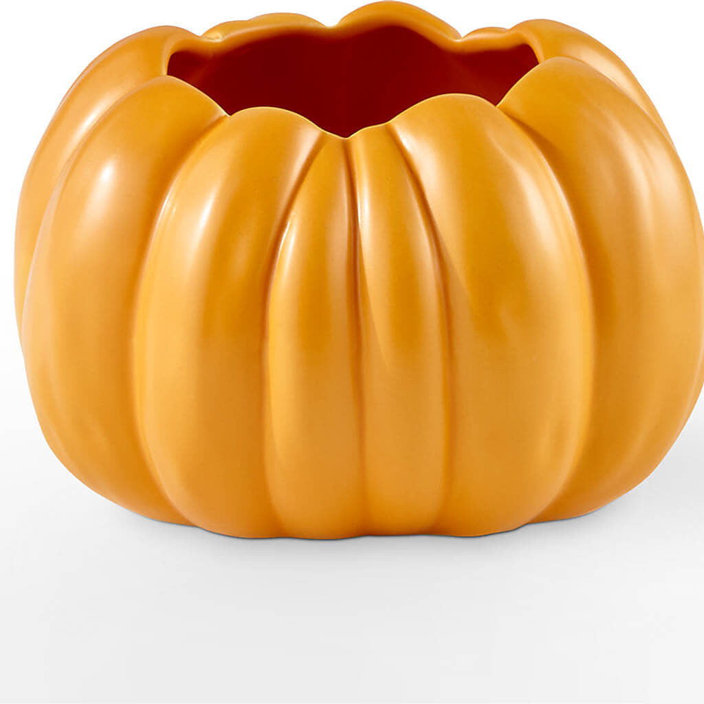 Golden Gourd Pumpkin Bouquet –  Karnation Korner Florist, Dunedin FL