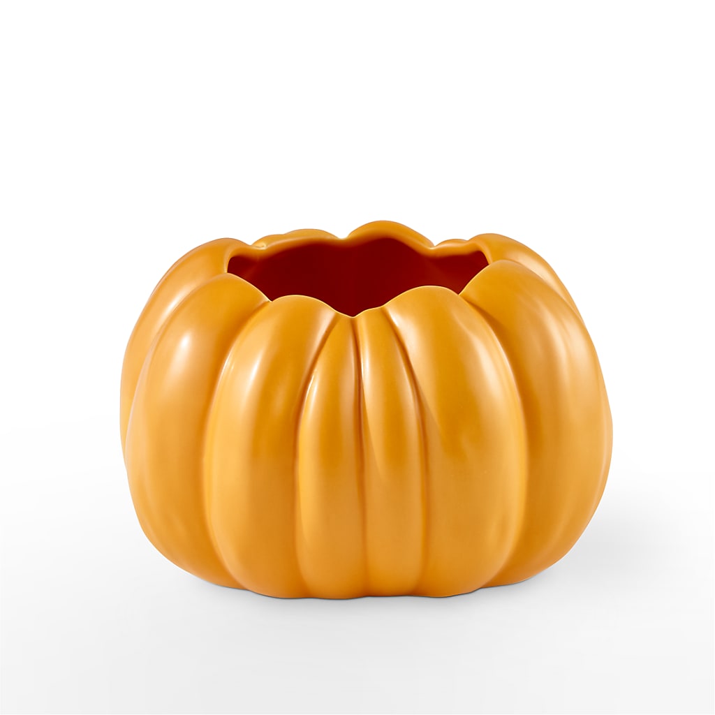 Pick of the Patch Pumpkin Bouquet –  Karnation Korner Florist, Dunedin FL