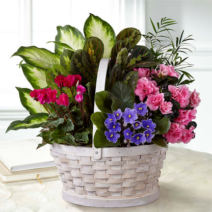 Peaceful Garden Planter –  Karnation Korner Florist, Dunedin FL