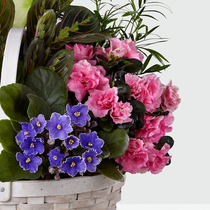 Peaceful Garden Planter –  Karnation Korner Florist, Dunedin FL