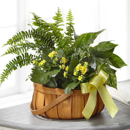 Always Dear Dishgarden –  Karnation Korner Florist, Dunedin FL
