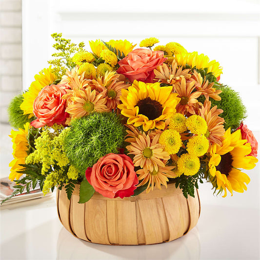 Harvest Sunflower Basket –  Karnation Korner Florist, Dunedin FL