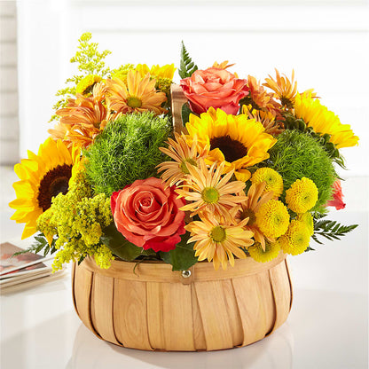 Harvest Sunflower Basket –  Karnation Korner Florist, Dunedin FL