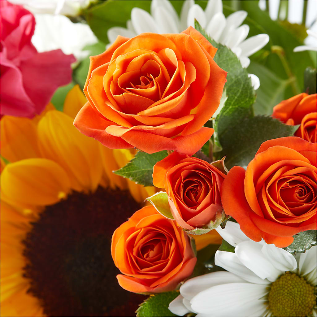 Sun-drenched Blooms Bouquet –  Karnation Korner Florist, Dunedin FL