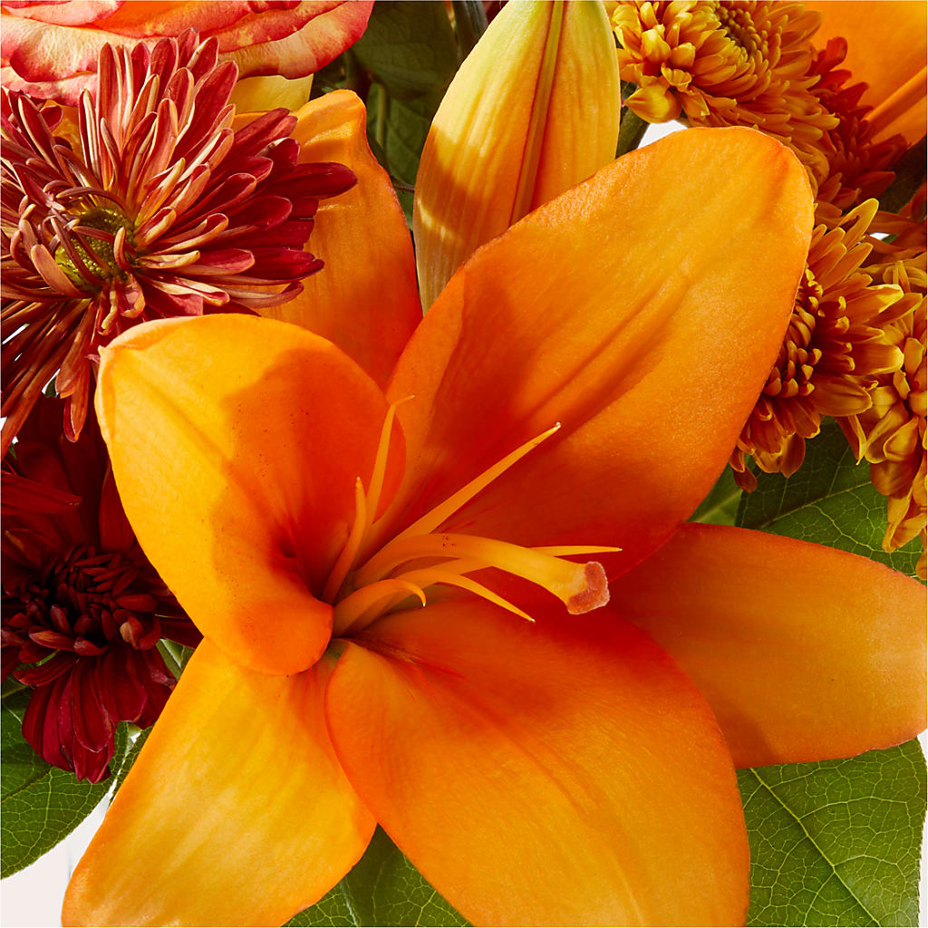 Autumnal Aroma Bouquet –  Karnation Korner Florist, Dunedin FL