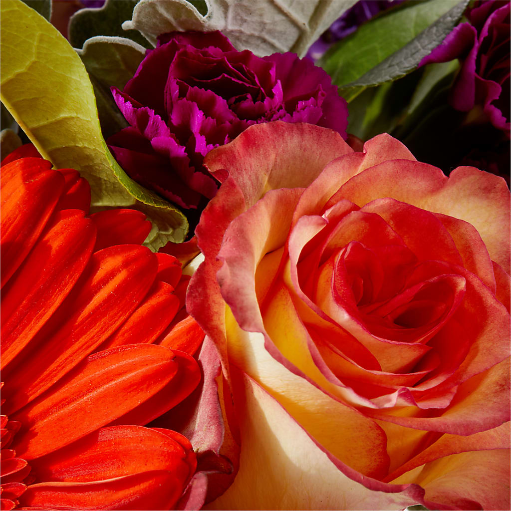 Sangria Bouquet –  Karnation Korner Florist, Dunedin FL