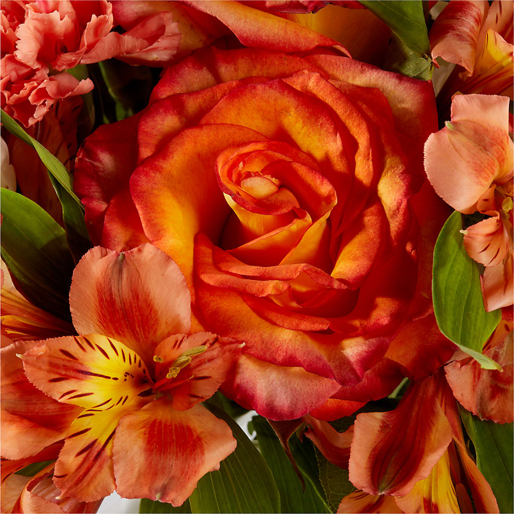 Apricot Glow Bouquet –  Karnation Korner Florist, Dunedin FL