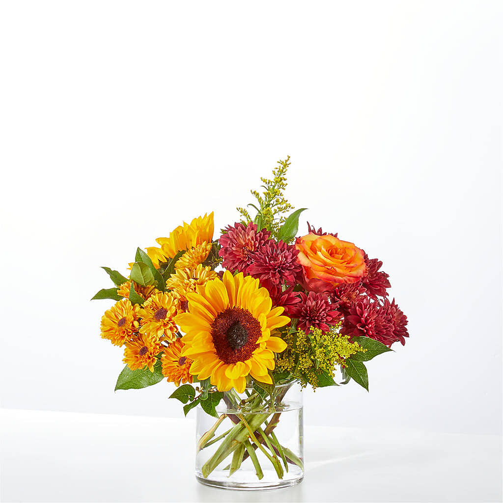Flannel Scarf Bouquet –  Karnation Korner Florist, Dunedin FL