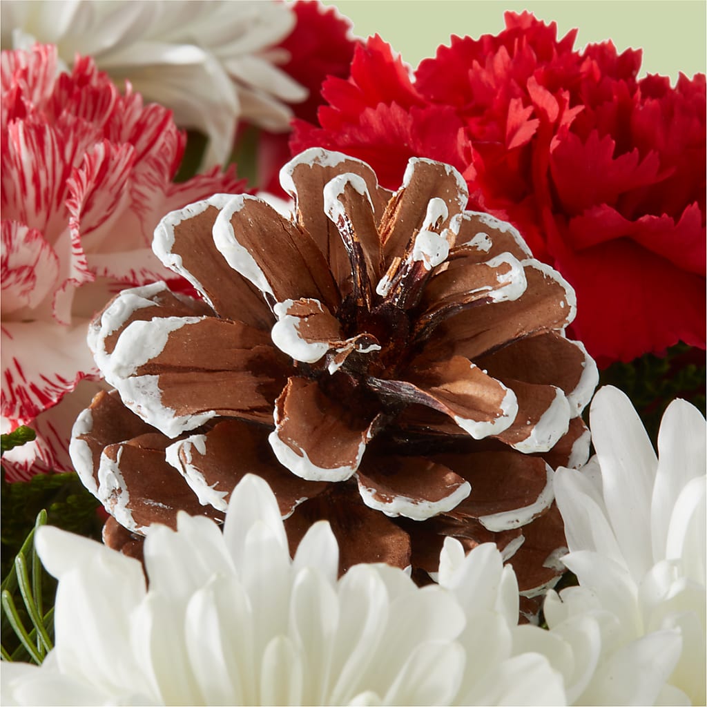 Candy Cane Lane Bouquet –  Karnation Korner Florist, Dunedin FL