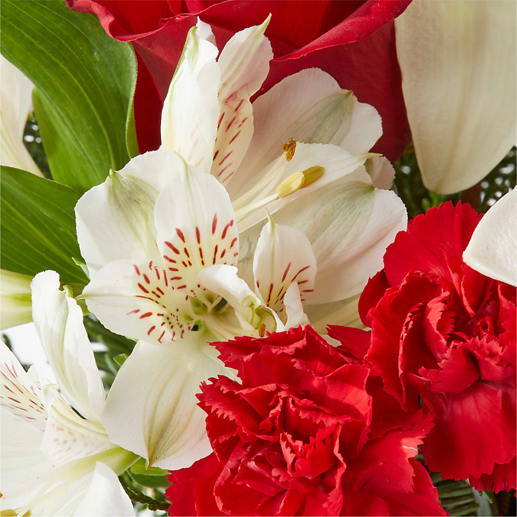 Holiday Season Bouquet –  Karnation Korner Florist, Dunedin FL
