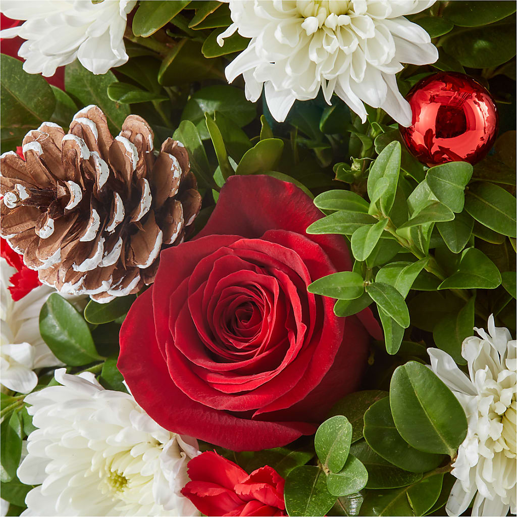 Let It Snow Tree –  Karnation Korner Florist, Dunedin FL