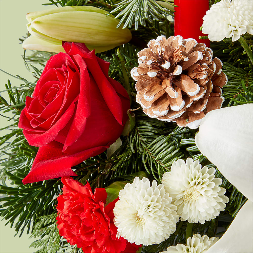 Seasonal Festivities Centerpiece –  Karnation Korner Florist, Dunedin FL