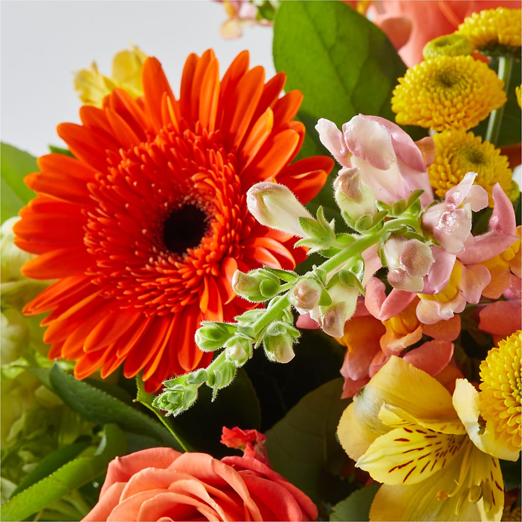 Autumn Sunshine Bouquet –  Karnation Korner Florist, Dunedin FL