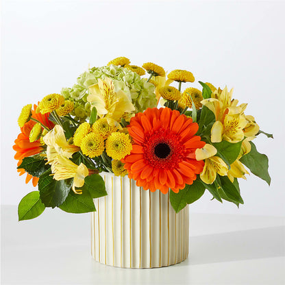 Autumn Sunshine Bouquet with Ivory Vase –  Karnation Korner Florist, Dunedin FL