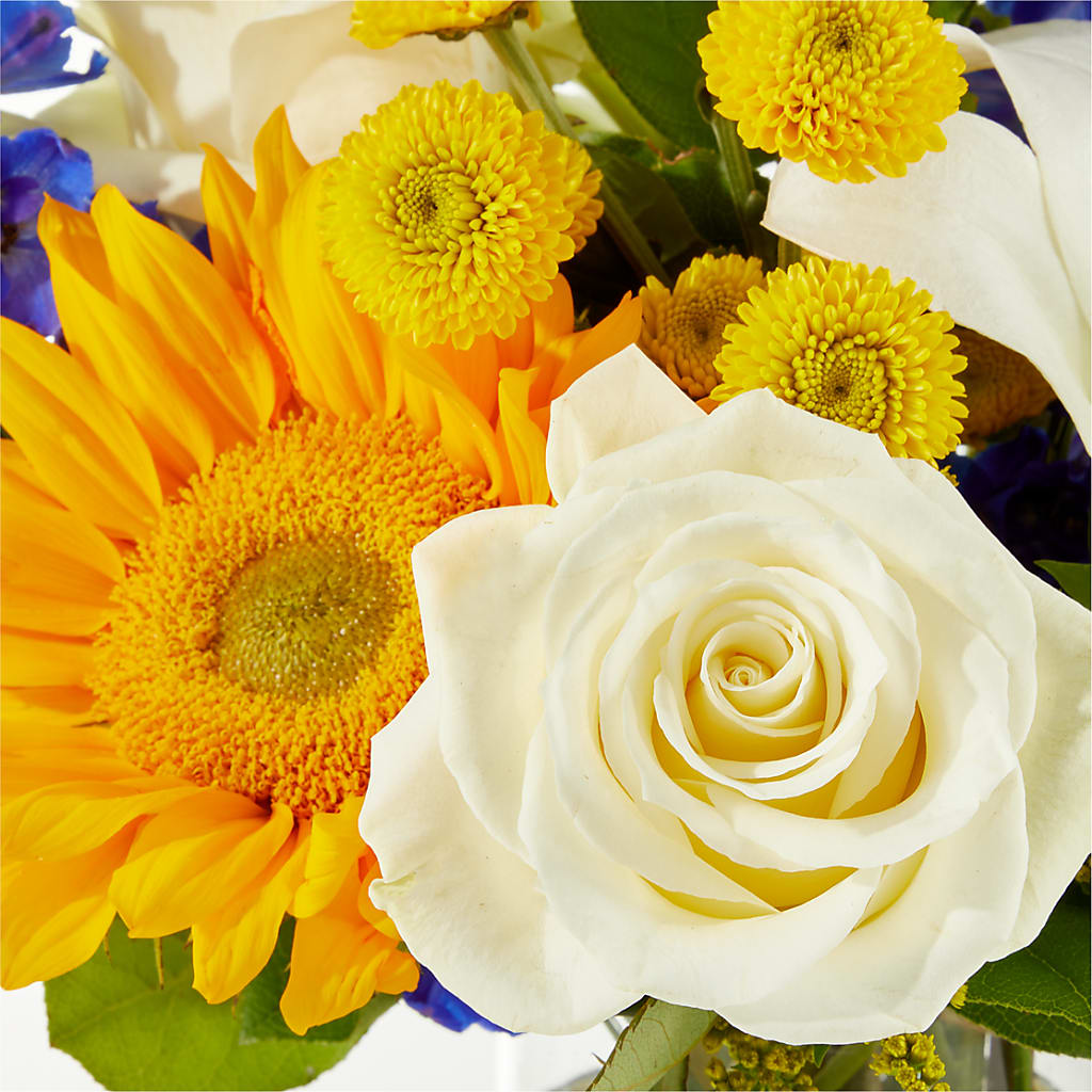 Stargazing Bouquet –  Karnation Korner Florist, Dunedin FL