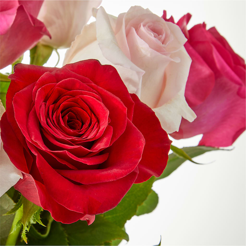 Charming Rose Bouquet –  Karnation Korner Florist, Dunedin FL