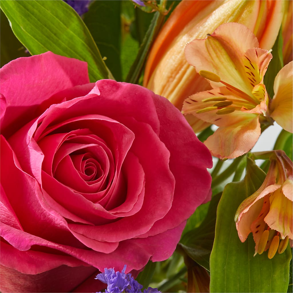 Joyful Bouquet –  Karnation Korner Florist, Dunedin FL
