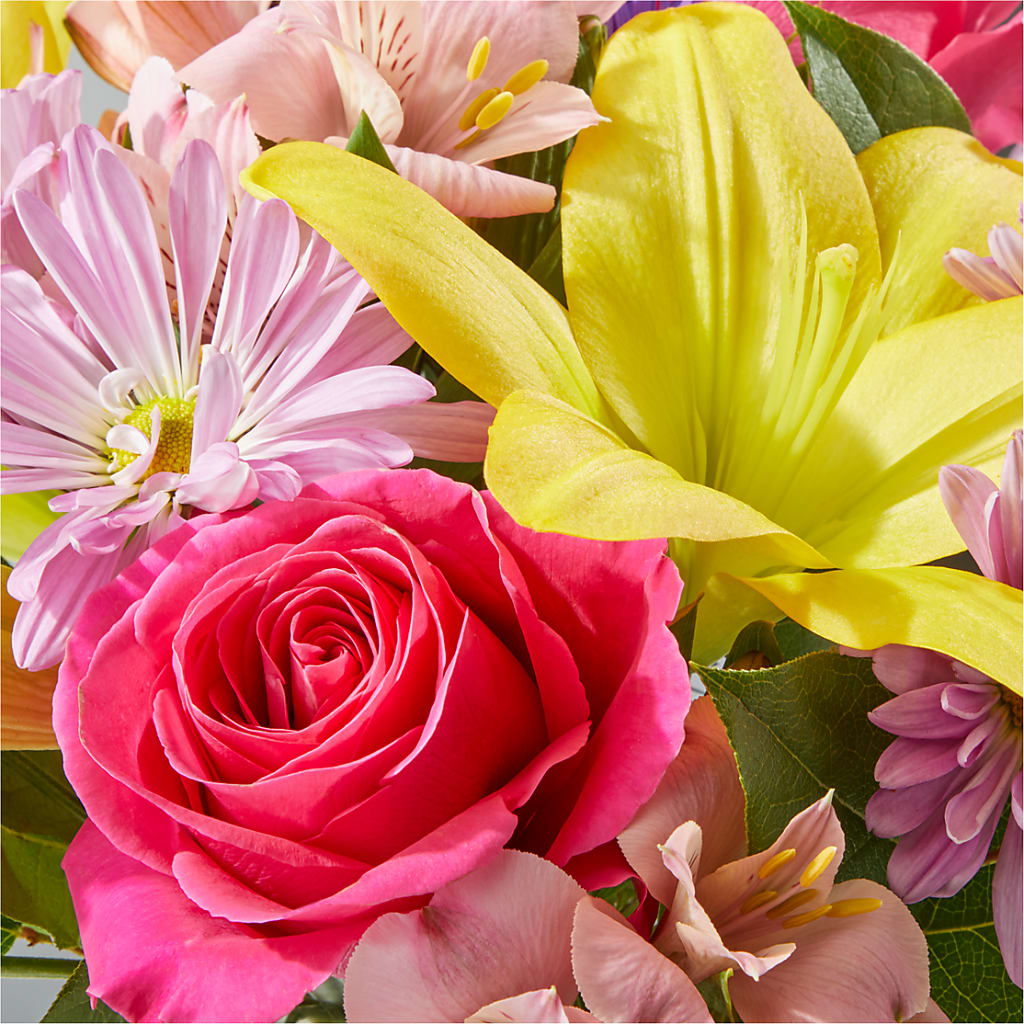 Sprinkles Bouquet –  Karnation Korner Florist, Dunedin FL