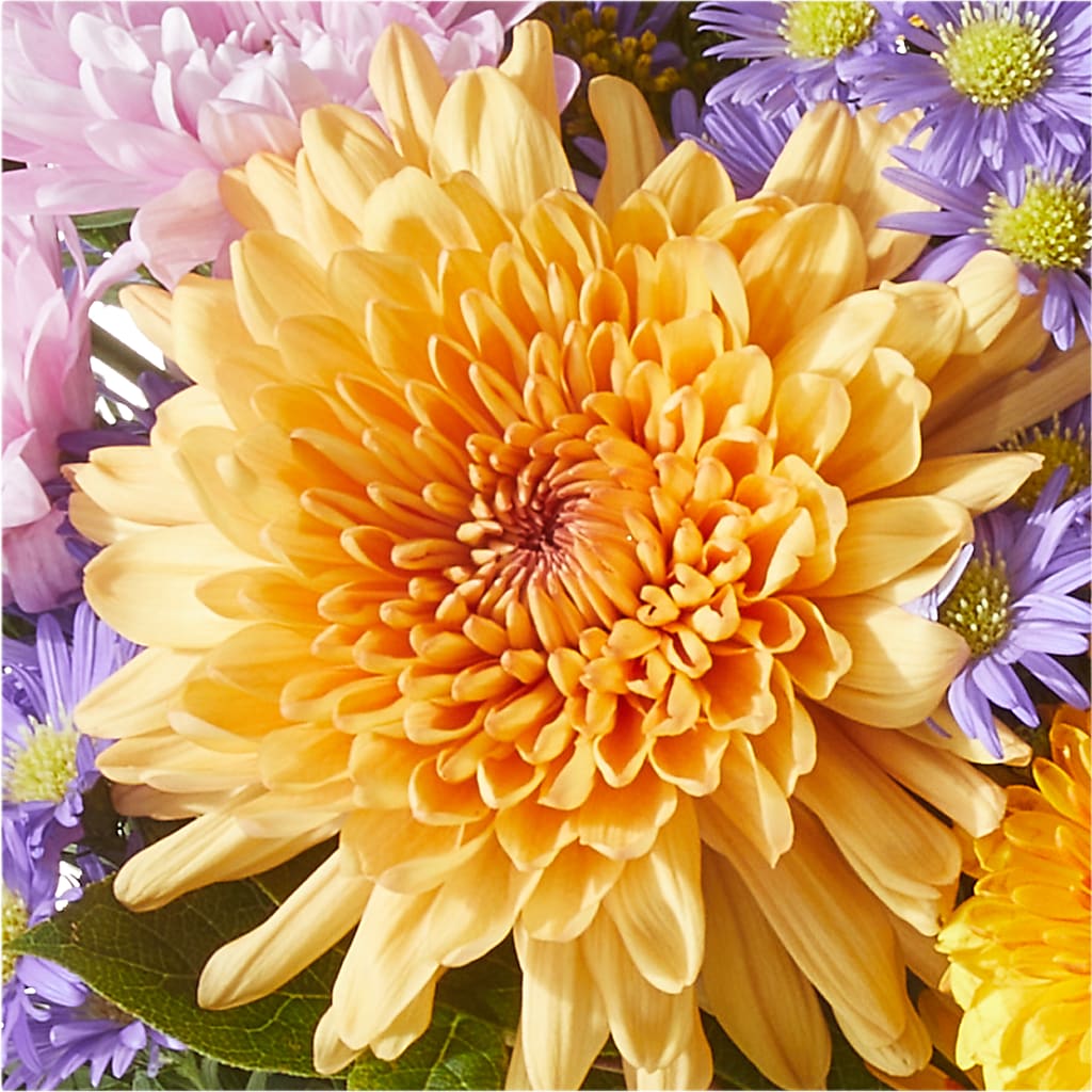 Countryside Bouquet –  Karnation Korner Florist, Dunedin FL