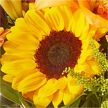 Seasons Change Bouquet –  Karnation Korner Florist, Dunedin FL