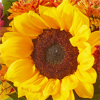 Sunny Side Bouquet –  Karnation Korner Florist, Dunedin FL