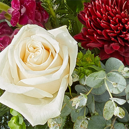 Cranberry Fizz Bouquet –  Karnation Korner Florist, Dunedin FL