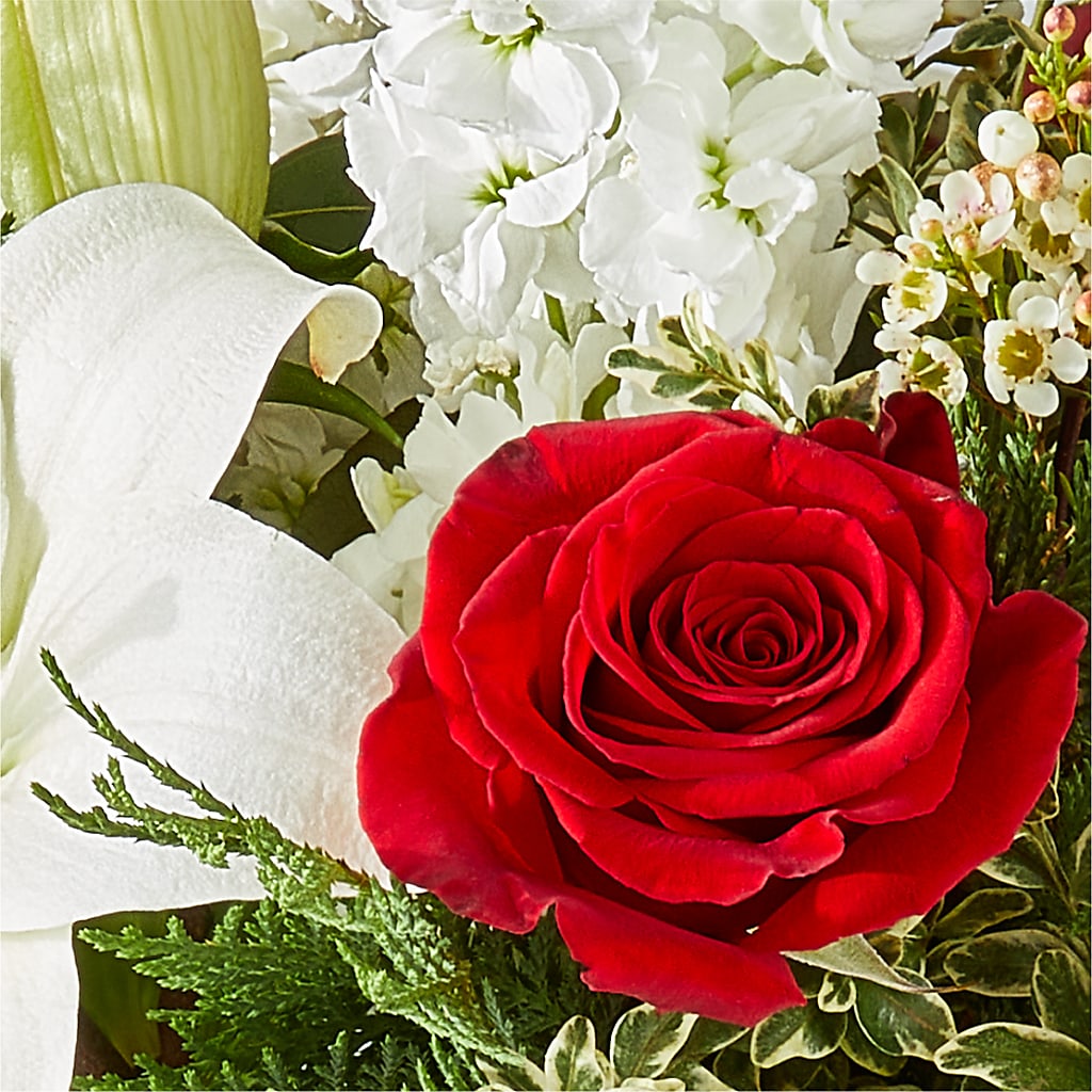 Twinkle Lights Bouquet –  Karnation Korner Florist, Dunedin FL