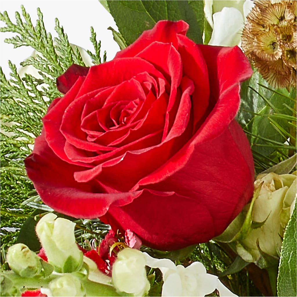 Deck the Halls Bouquet –  Karnation Korner Florist, Dunedin FL