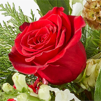 Deck the Halls Bouquet –  Karnation Korner Florist, Dunedin FL