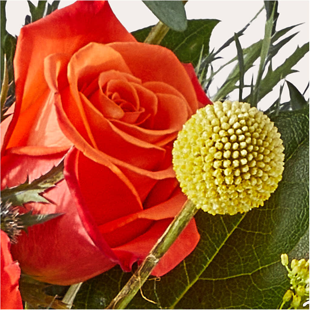 Disco Bouquet –  Karnation Korner Florist, Dunedin FL