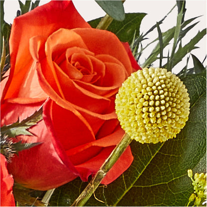 Disco Bouquet –  Karnation Korner Florist, Dunedin FL